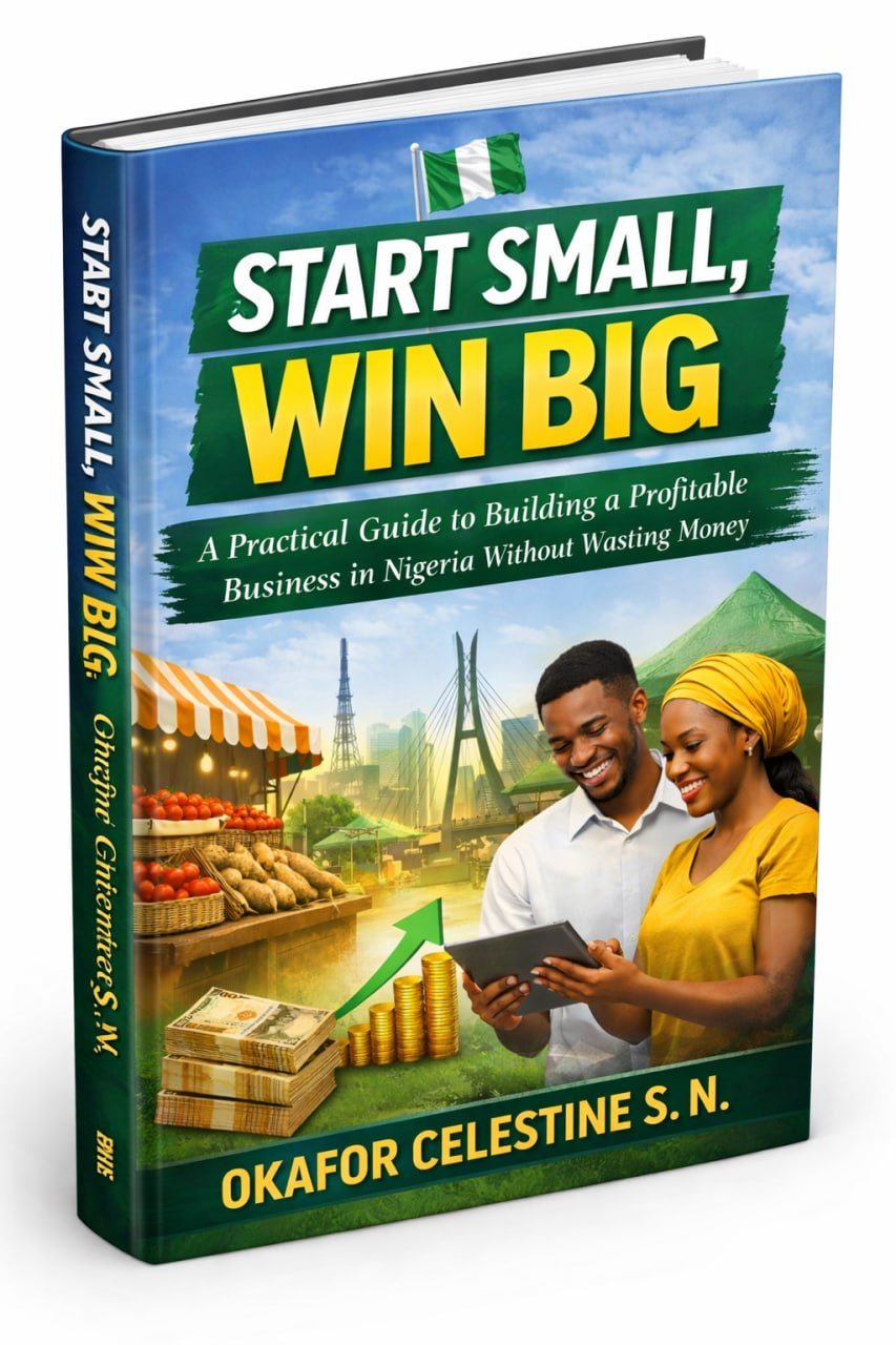 start small, win big: a practical guide to building a profitable business in nigeria without wasting money